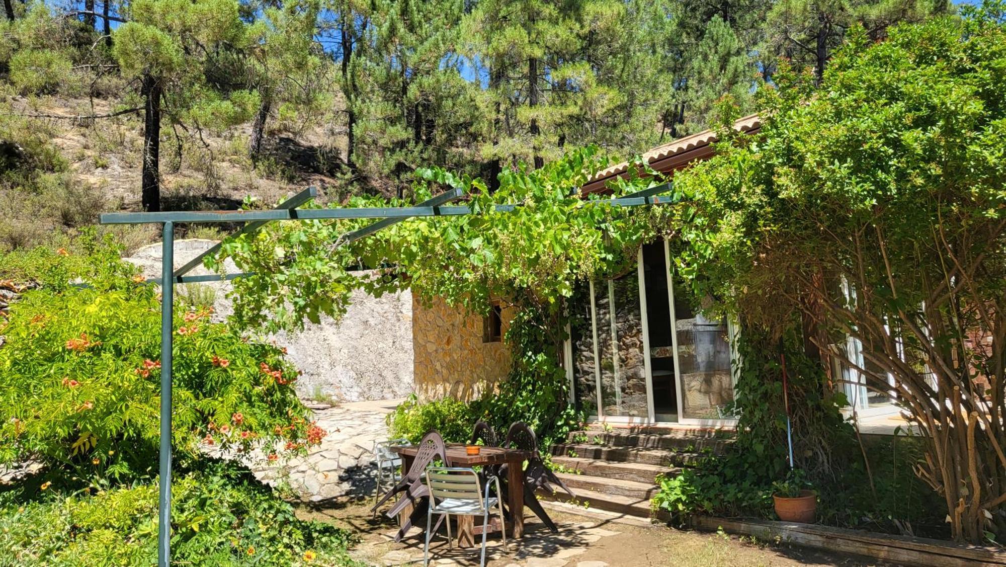 Villa De Montana Parque Natural Calar Del Rio Mundo - Independiente - 4 Dormitorios - 2 Banos Riopar Exterior photo